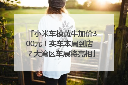 小米车模黄牛加价300元！实车本周到店？大湾区车展将亮相
