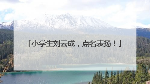 小学生刘云成，点名表扬！