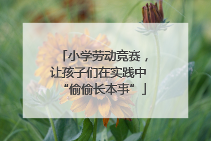 小学劳动竞赛，让孩子们在实践中“偷偷长本事”