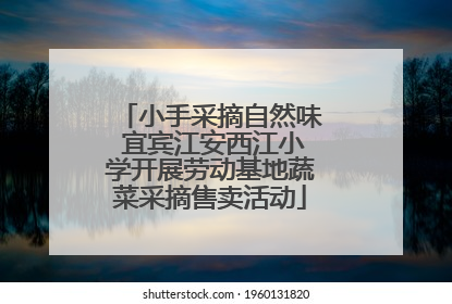 小手采摘自然味 宜宾江安西江小学开展劳动基地蔬菜采摘售卖活动
