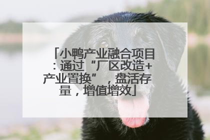 小鸭产业融合项目：通过“厂区改造+产业置换”，盘活存量，增值增效