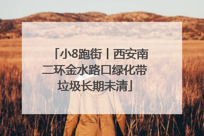 小8跑街丨西安南二环金水路口绿化带垃圾长期未清