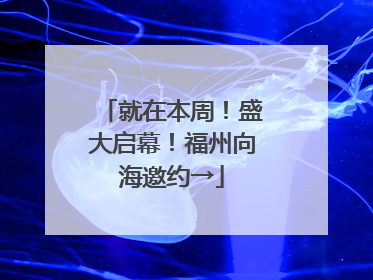 就在本周！盛大启幕！福州向海邀约→