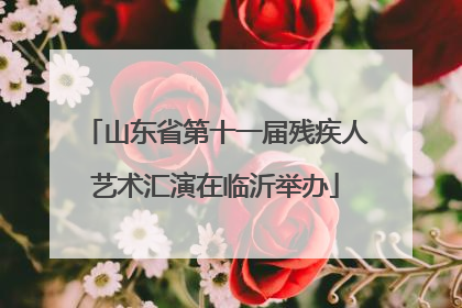 山东省第十一届残疾人艺术汇演在临沂举办