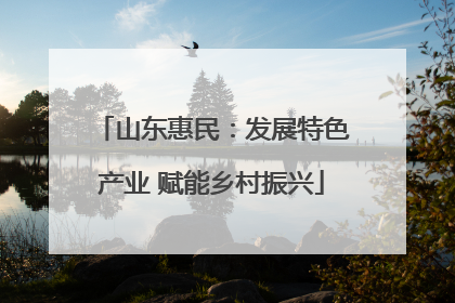 山东惠民：发展特色产业 赋能乡村振兴