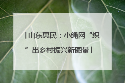 山东惠民：小绳网“织”出乡村振兴新图景
