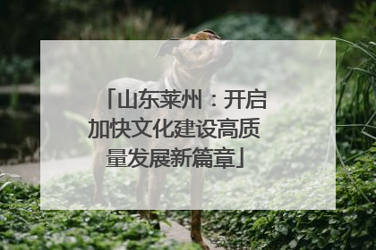 山东莱州：开启加快文化建设高质量发展新篇章