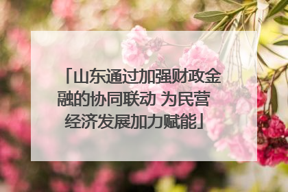 山东通过加强财政金融的协同联动 为民营经济发展加力赋能
