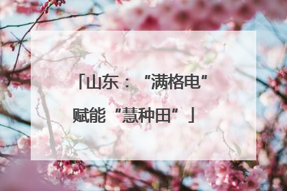 山东：“满格电”赋能“慧种田”