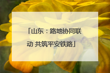 山东：路地协同联动 共筑平安铁路