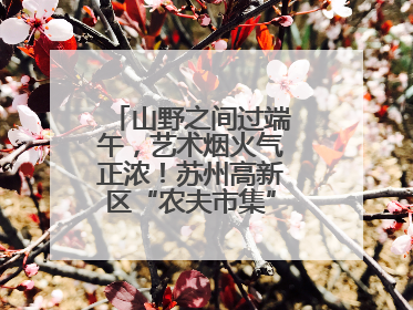 山野之间过端午，艺术烟火气正浓！苏州高新区“农夫市集”火热进行中