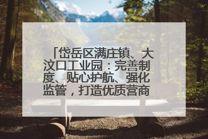 岱岳区满庄镇、大汶口工业园：完善制度、贴心护航、强化监管，打造优质营商“强磁场”