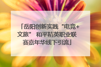 岳阳创新实践“电竞+文旅” 和平精英职业联赛嘉年华线下引流