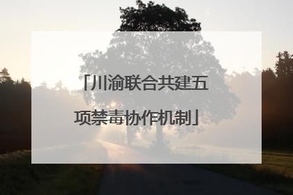 川渝联合共建五项禁毒协作机制