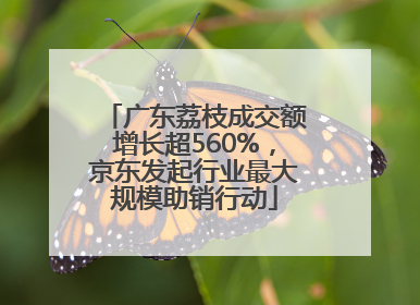 广东荔枝成交额增长超560%，京东发起行业最大规模助销行动