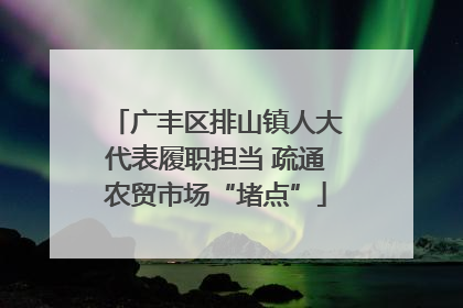 广丰区排山镇人大代表履职担当 疏通农贸市场“堵点”