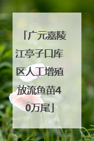 广元嘉陵江亭子口库区人工增殖放流鱼苗40万尾