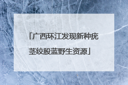 广西环江发现新种疣茎绞股蓝野生资源