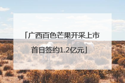 广西百色芒果开采上市 首日签约1.2亿元