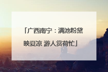 广西南宁：满池粉黛映夏凉 游人赏荷忙