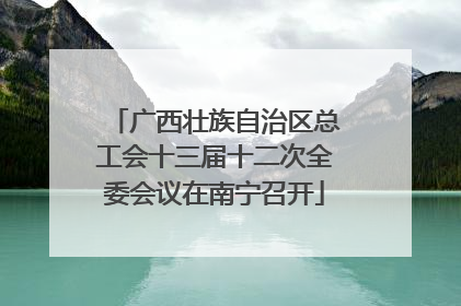 广西壮族自治区总工会十三届十二次全委会议在南宁召开