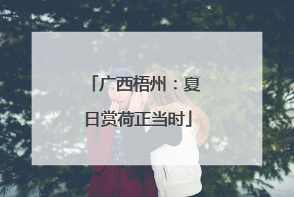 广西梧州：夏日赏荷正当时