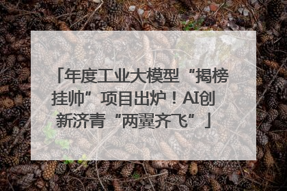 年度工业大模型“揭榜挂帅”项目出炉！AI创新济青“两翼齐飞”