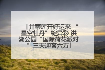 并蒂莲开好运来 “星空牡丹”绽异彩 洪湖公园“国际荷花派对”三天迎客六万