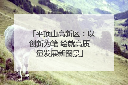 平顶山高新区：以创新为笔 绘就高质量发展新图景