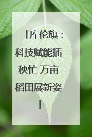 库伦旗：科技赋能插秧忙 万亩稻田展新姿