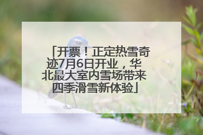 开票！正定热雪奇迹7月6日开业，华北最大室内雪场带来四季滑雪新体验
