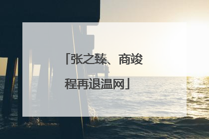 张之臻、商竣程再退温网