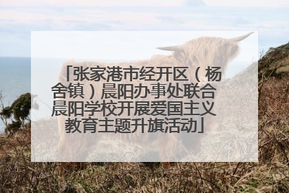 张家港市经开区（杨舍镇）晨阳办事处联合晨阳学校开展爱国主义教育主题升旗活动