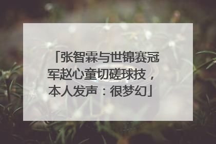 张智霖与世锦赛冠军赵心童切磋球技，本人发声：很梦幻