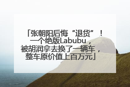 张朝阳后悔“退货”！一个绝版Labubu，被胡润拿去换了一辆车，整车原价值上百万元