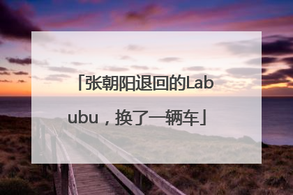 张朝阳退回的Labubu，换了一辆车
