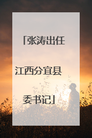 张涛出任江西分宜县委书记