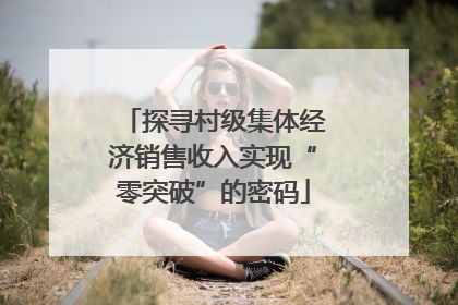 探寻村级集体经济销售收入实现“零突破”的密码