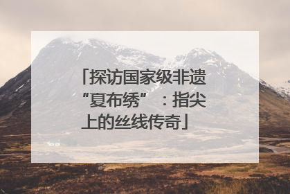 探访国家级非遗“夏布绣”：指尖上的丝线传奇