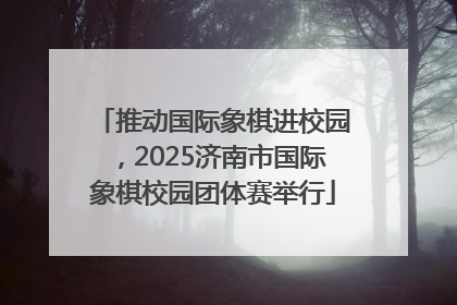 推动国际象棋进校园，2025济南市国际象棋校园团体赛举行