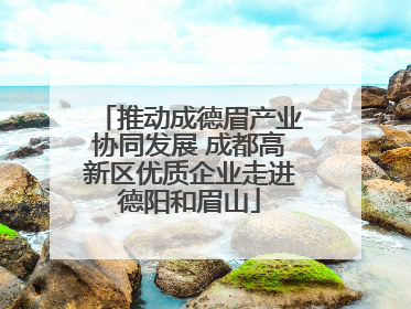 推动成德眉产业协同发展 成都高新区优质企业走进德阳和眉山