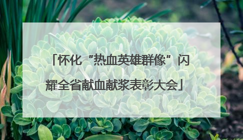 怀化“热血英雄群像”闪耀全省献血献浆表彰大会