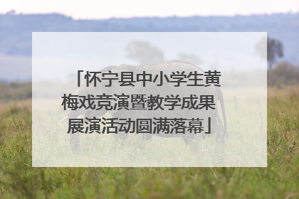 怀宁县中小学生黄梅戏竞演暨教学成果展演活动圆满落幕