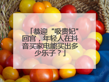 恭迎“吸贵妃”回宫，年轻人在抖音买家电能买出多少乐子？