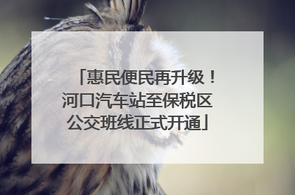 惠民便民再升级！河口汽车站至保税区公交班线正式开通