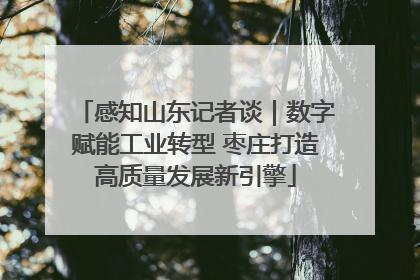 感知山东记者谈｜数字赋能工业转型 枣庄打造高质量发展新引擎