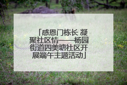 感恩门栋长 凝聚社区情——杨园街道四美塘社区开展端午主题活动