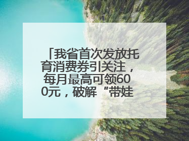 我省首次发放托育消费券引关注，每月最高可领600元，破解“带娃难” 如何不负所“托”？