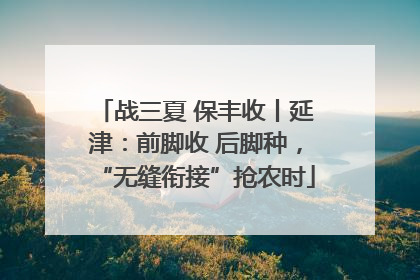 战三夏 保丰收丨延津：前脚收 后脚种，“无缝衔接”抢农时