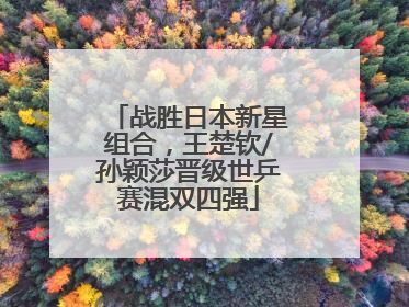 战胜日本新星组合，王楚钦/孙颖莎晋级世乒赛混双四强